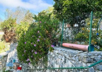 Giardino - Quadrilocale Ausonia - foto 31