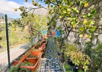 Giardino - Quadrilocale Ausonia - foto 32