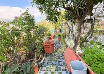 Giardino - Quadrilocale Ausonia - foto 33