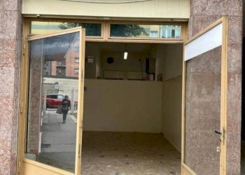 Ingresso - Negozio via Luca della Robbia, 10, Torino (zona Pozzo Strada) - foto 3