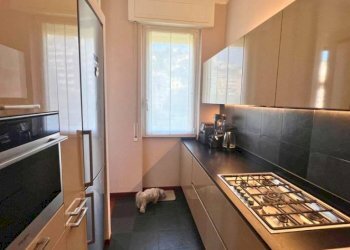 Cucina - Appartamento via dell'Arena, 16, Genova (zona Borgoratti) - foto 6