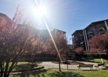 Giardino - Apartment corso Enrico Gamba, 37, Torino (neighborhood Borgo Vittoria) - photo 45