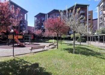 Giardino - Apartment corso Enrico Gamba, 37, Torino (neighborhood Borgo Vittoria) - photo 46