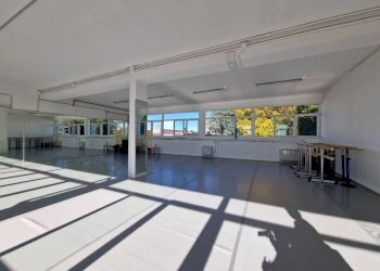 Interno non residenziale - Capannone via Varese, 36, Lainate - foto 5