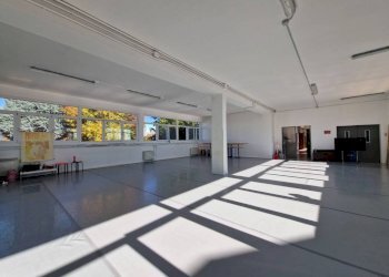 Interno non residenziale - Capannone via Varese, 36, Lainate - foto 6