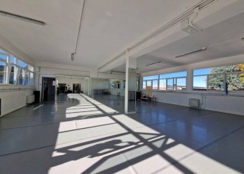 Interno non residenziale - Capannone via Varese, 36, Lainate - foto 7