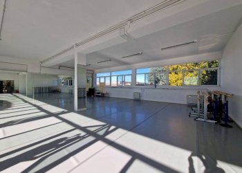 Interno non residenziale - Capannone via Varese, 36, Lainate - foto 8