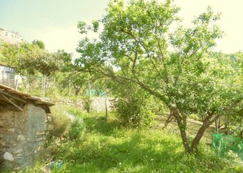 Terreno - Three-room apartment salita Gave, 31, Genova (neighborhood Struppa) - photo 6