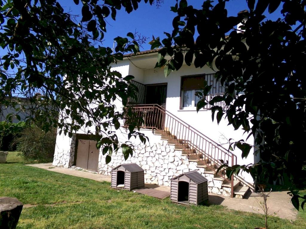 Giardino - Villa via degli Olivi, Ardea - foto 2