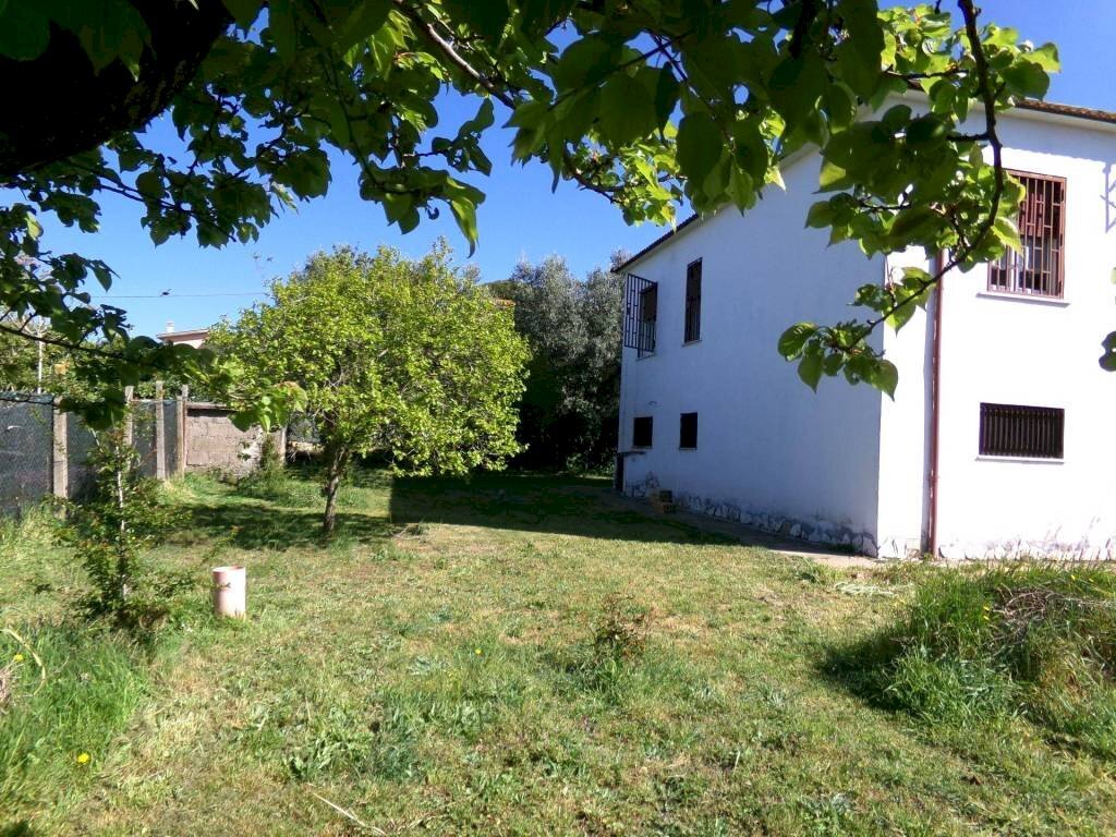 Giardino - Villa via degli Olivi, Ardea - foto 3