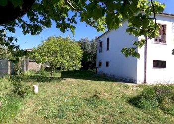 Giardino - Villa via degli Olivi, Ardea - foto 3