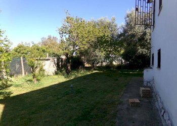 Giardino - Villa via degli Olivi, Ardea - foto 4