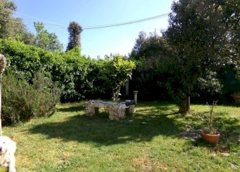 Terreno - Villa via degli Olivi, Ardea - foto 12
