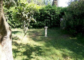 Giardino - Villa via degli Olivi, Ardea - foto 13