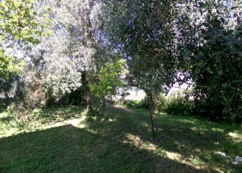 Terreno - Villa via degli Olivi, Ardea - foto 14