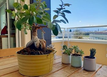 Terrazzo - Bilocale via Sandro Pertini, Cuneo (zona Donatello) - foto 12