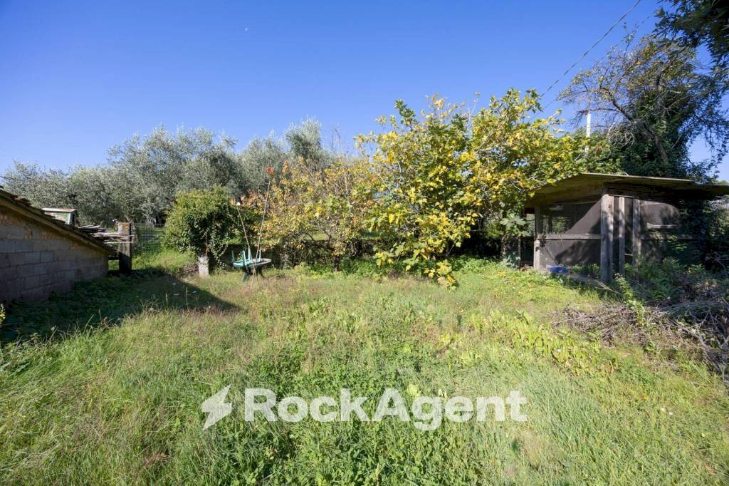 Terreno - Independent house via di Montigiano, 126, Massarosa - photo 2