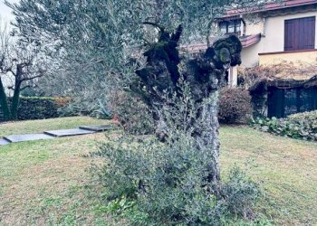 Terreno - Villa via 1ª Strada, 1, Fiesso d'Artico - foto 7