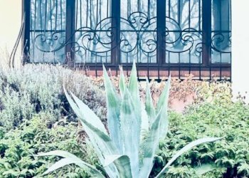 Interno palazzo - Villa via 1ª Strada, 1, Fiesso d'Artico - foto 12