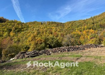 Terreno - Rustico Località Trombetta, Bardi - foto 17