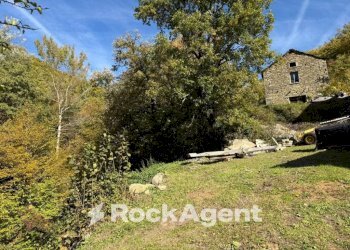 Terreno - Rustico Località Trombetta, Bardi - foto 22