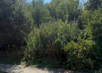 Zona - Terreno edificabile via del Cimitero, Borgo Val di Taro - foto 3