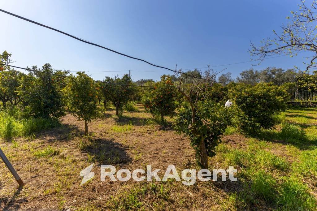 Terreno - Villa strada Provinciale 107, Giovinazzo - foto 2
