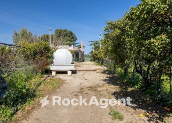 Terreno - Villa strada Provinciale 107, Giovinazzo - foto 32