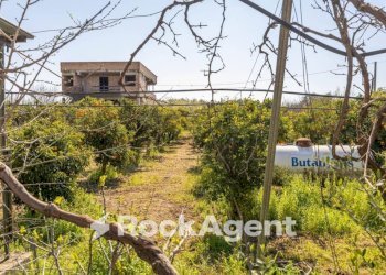 Terreno - Villa strada Provinciale 107, Giovinazzo - foto 33