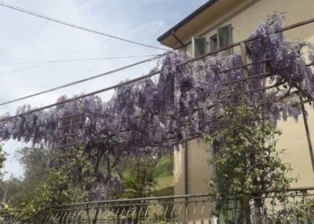 Facciata - Casa indipendente via Martiri di Belfiore, 25, Fivizzano - foto 30