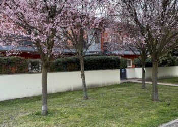 Giardino - Appartamento via Monte Fasolo, 2, Abano Terme - foto 32