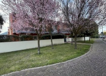 Giardino - Appartamento via Monte Fasolo, 2, Abano Terme - foto 33