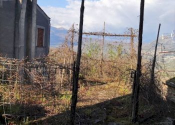 Terreno - Casa indipendente via Mazzarella, Trecchina - foto 6