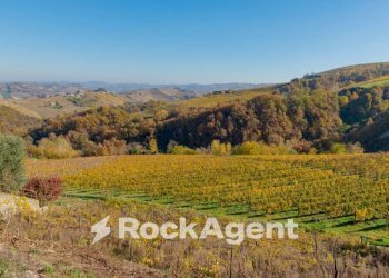 Terreno - Casa indipendente via Circonvallazione, 19, Castiglione Tinella - foto 33