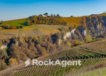 Vista - Casa indipendente via Circonvallazione, 19, Castiglione Tinella - foto 35