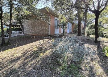 Casa indipendente Via Venezia 7, Castagneto Carducci - foto 13