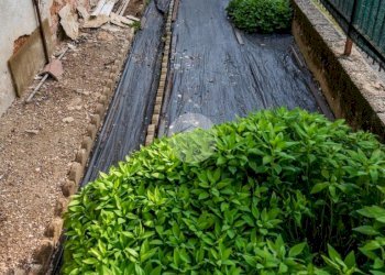 Villa Via san martino, Volvera - foto 37