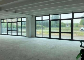 Capannone Soliera - foto 4