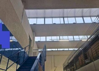 Capannone Soliera - foto 7