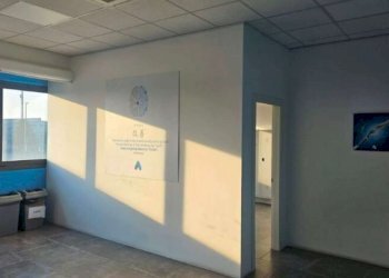 Capannone Soliera - foto 21