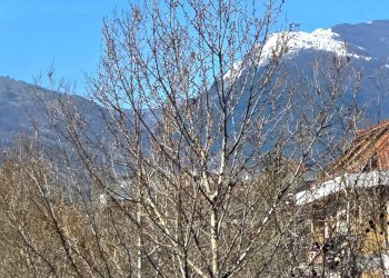 Foto 18 - Appartamento Viale G. Bovio, Teramo - foto 18