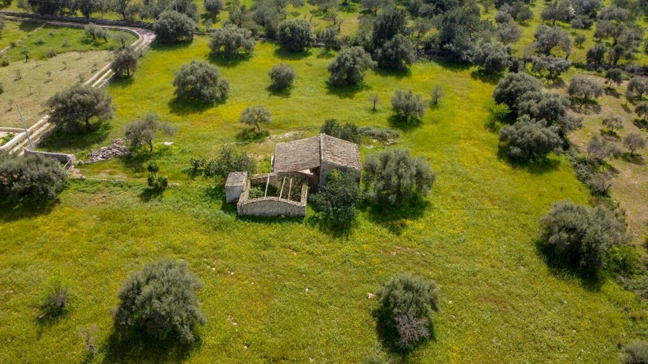 WhatsApp Image 2026-03-13 at 14.48.21.jpeg - Villa Cavasecca, Canicattini Bagni - foto 2