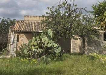 20260303_110151.jpg - Villa Cavasecca, Canicattini Bagni - foto 6