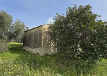 20260303_110331.jpg - Villa Cavasecca, Canicattini Bagni - foto 13