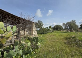 20260303_110347.jpg - Villa Cavasecca, Canicattini Bagni - foto 14