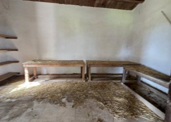 20260303_110455.jpg - Villa Cavasecca, Canicattini Bagni - foto 21