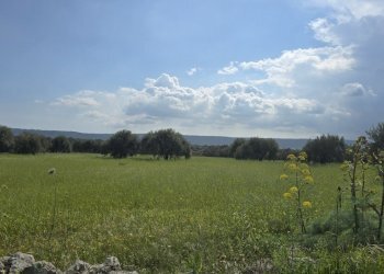 20260312_134013.jpg - Villa Cavasecca, Canicattini Bagni - foto 22