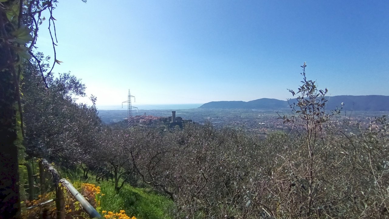 1.jpg - Casa indipendente Via Provinciale, Castelnuovo Magra - foto 1