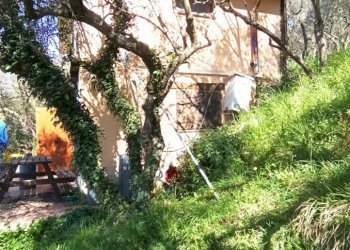 5.jpg - Casa indipendente Via Provinciale, Castelnuovo Magra - foto 5