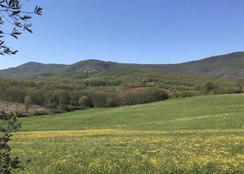 Casale Avigliano Umbro - photo 1